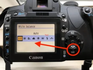Best Camera Setting for White Balance
