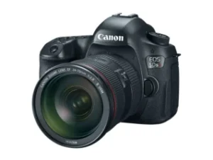 Top 5 Best Cameras for Macro Photography