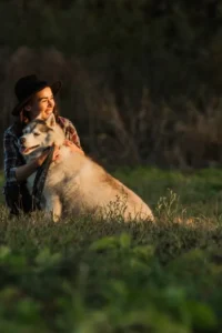 How to Take Better Dog Photos with Your Mobile Phone 2025