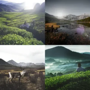 5 fundamental iphone settings