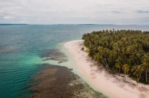 cebu beaches