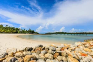 cebu beaches