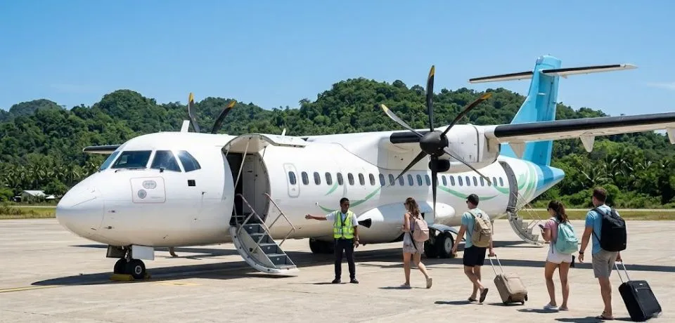 domestic flights