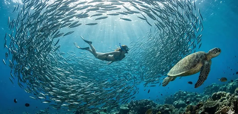 7-Day Cebu and Palawan Adventure Itinerary Travel Guide